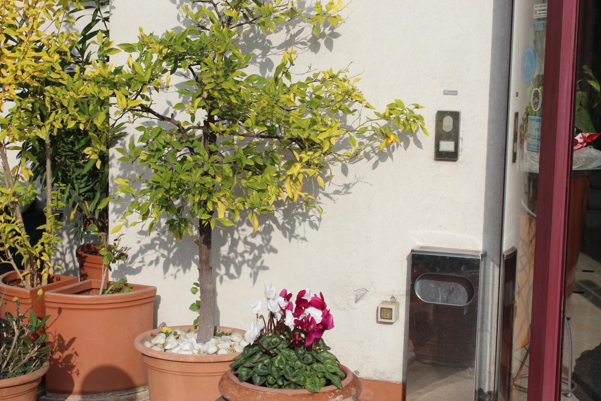 Arcangelo Roof Hotel Rimini Exterior photo