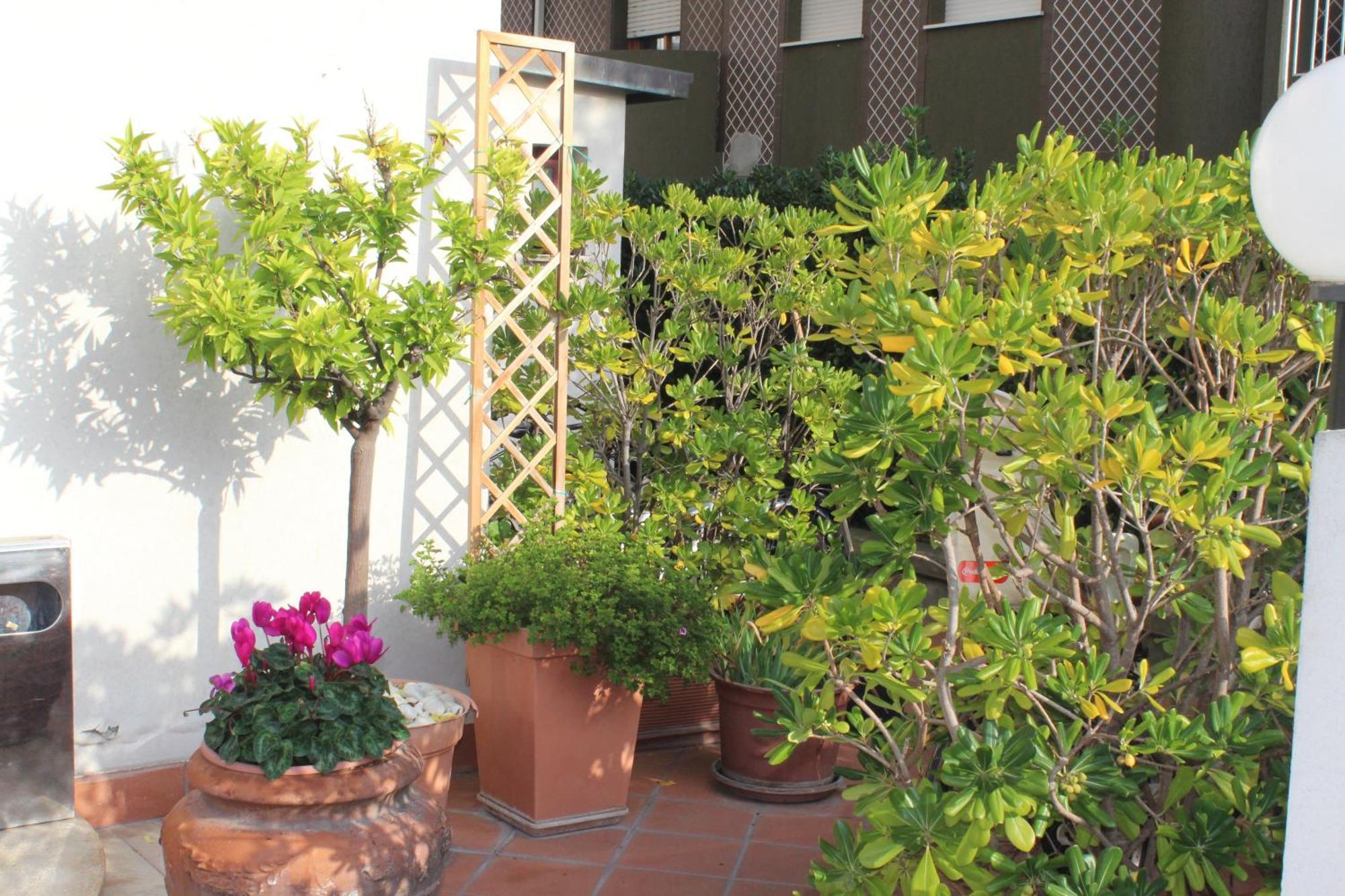 Arcangelo Roof Hotel Rimini Exterior photo